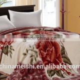 Guangzhou Direct Factory 2.5kgs floral printed Super soft Mink blanket                        
                                                Quality Choice