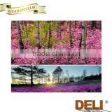 Favorable Price Beneficial Thyme Honey thumbnail-6