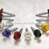 Painted Screw thumbnail-1