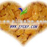 Raisins, Sultana, Thompson Seedless--best Price thumbnail-1