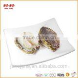 Frozen Chilean Abalone thumbnail-1