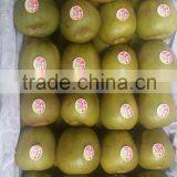 Fresh Red Kiwi Fruit thumbnail-6