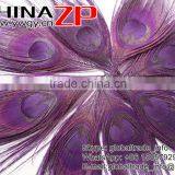 ZPDECOR Factory Bulk Sale Best Selling Dyed Eggplant Trimmed Short Peacock Feathers for DIY thumbnail-3