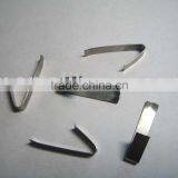 Flat Spring thumbnail-1