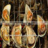 (manufacturer,best Price) Barbecue Wire Mesh