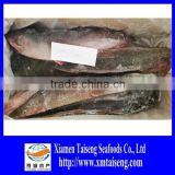 Wholesale Catfish for Africa