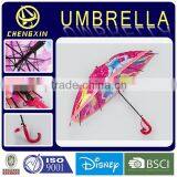 Cartoon Princess Printed Vinyl Fabric EVA Umbrellas