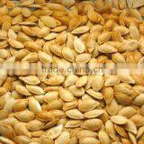 Snow Pumpkin Seeds thumbnail-1