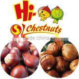 OEM Roasted Ringent Chestnut Oriental Snacks thumbnail-5