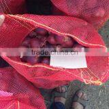 Fresh Onion thumbnail-2