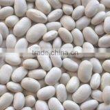 White Kidney Bean From Vietnam for Sale thumbnail-1