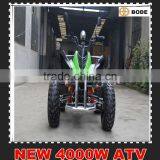 Wholesale 4000W Electric Quad ATV