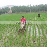 Paddy Weeder thumbnail-5