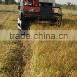 Professional Corn Combine Harvester With Low Price thumbnail-5