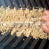 High Capacity Mobile Agricultural Dryer,mobile Grain Dryer thumbnail-5