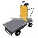 Electric Cart thumbnail-1