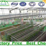 Multi-Span Agricultural Greenhouses Type and PC Sheet Cover Material Commercial Greenhouses thumbnail-5