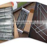 Sod Staples thumbnail-1