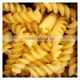 Different Shapes Macaroni Pasta Processing Machine