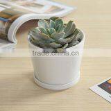 Indoor Mini Ceramic Decor White Plant Pot thumbnail-6