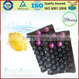 Canada Popular Wholesale Greenhouse Agriculture Products Packaging Plastic Tomato Tray thumbnail-1