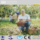 Low Moq Custom t Shirts