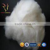 Dehaired Cashmere Wool Fiber Raw Sheep Wool For Sale thumbnail-1