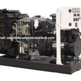 Perkins diesel generator set 1