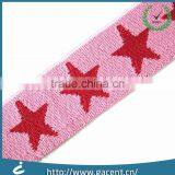 Supplier Provide Spandex Elastic Webbing for Clothing