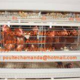 Птицеводческая ферма в Южной Африке. Клетка для кур-телочек типа A и куриный дом для откладки яиц с автоматической клеткой для 120 птиц в сарае.