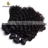 All Express Brazilian Hair Curly Brazilian Hair Mink Brazilian Hair thumbnail-1