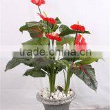 Artificial Pledge Flower