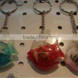 Inset Amber Keychain,fish Sharp Amber Keychain, Seashell Amber Rosin Keychain thumbnail-1