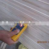 Poplar LVL Door Core CHINA thumbnail-1