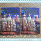 Licai10---2016 Hot Sale3D Pvc Magnet , 3D Fridge Magnet