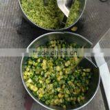 Best Seller Factory Fruit Juicer Machine 86-15003847743 thumbnail-6