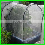 Elastic Insect Mesh Anti Bird Net for Organic Net Crop Veg Protection thumbnail-6