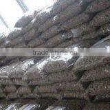 Xiangnong Peanut in Shell 9/11 11/13 2/4
