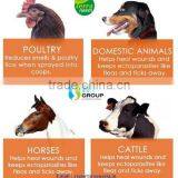 Pure & Natural Neem Oil Extraction thumbnail-2