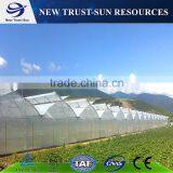 Low Cost Muti-span PVC/PE/Plastic Greenhouse for Flower/vegetable Growing thumbnail-4