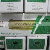 Fresh Chinese Yam for Sale thumbnail-4