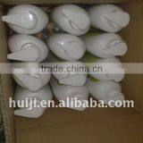 Shampoo Conditioner,hair Conditioner,shower Gel thumbnail-1