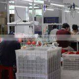 Shantou Chenghai Meizhongtai Toys Factory company overview - view 2 thumbnail