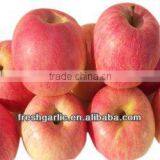 Famous China YanTai Best Price Fresh Fuji Apple thumbnail-1