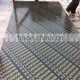 18mm Marine Plywood for Dubai 1220x2440x18mm Black Film Faced Plywood thumbnail-4