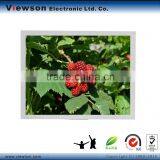8.0 Inch LCD Panel, Color TFT LCD Module for Industial Use (Supper High Brightness LED Backlight) thumbnail-1