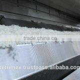 Organic Desiccated Coconut - High Fat Medium Grade thumbnail-3