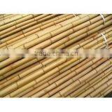 Nature Dried Bamboo Pole Diameter 2-10cm Height 6m for Sale thumbnail-3