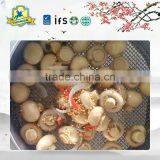 Top Quality Fresh Whole Canned Button Mushroom