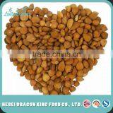 Bitter Apricot Kernel for Medicine/Snack Killer of Cancer thumbnail-5